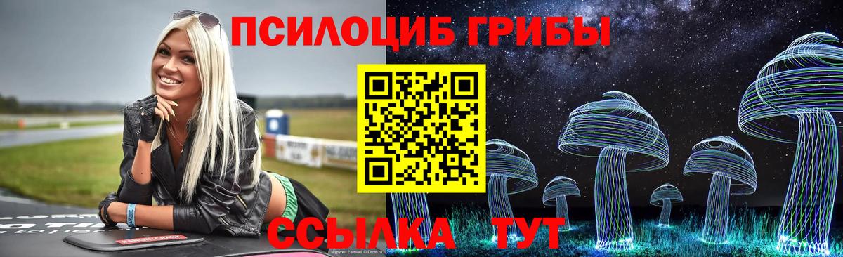 Галлюциногенные грибы прущие грибы Арзамас