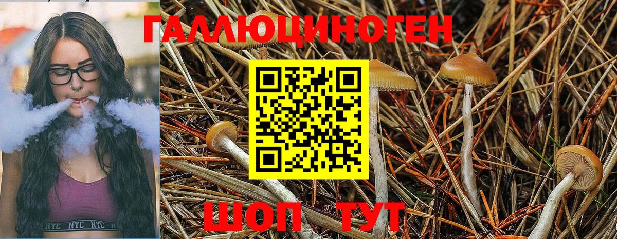 Галлюциногенные грибы Magic Shrooms  Вход с VPN  Галлюциногенные грибы MAGIC MUSHROOMS  Арзамас 